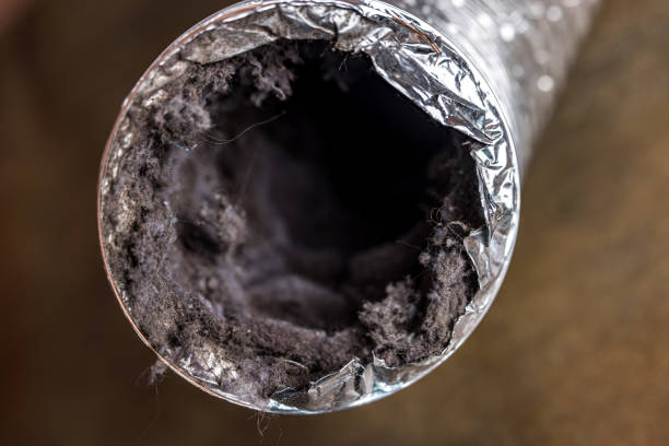 Best HVAC System Cleaning  in Goldsboro, NC